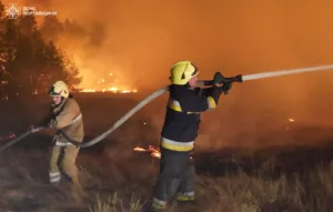 На Полтавщині почався сезон пожеж: вчора відбулося 111 займань