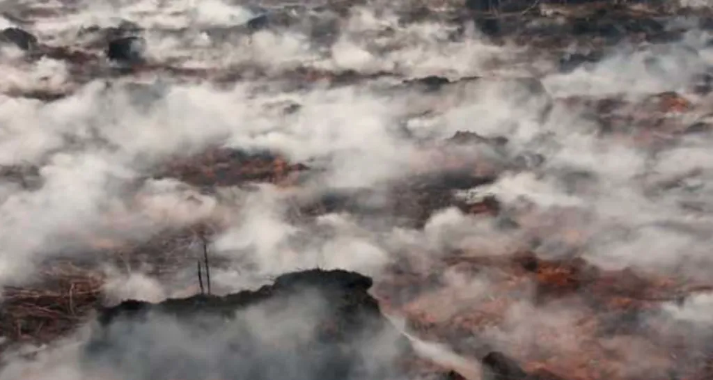 На Полтавщині горять 9 торфовищ - це найбільше небезпечний вид пожеж для здоров'я людей
