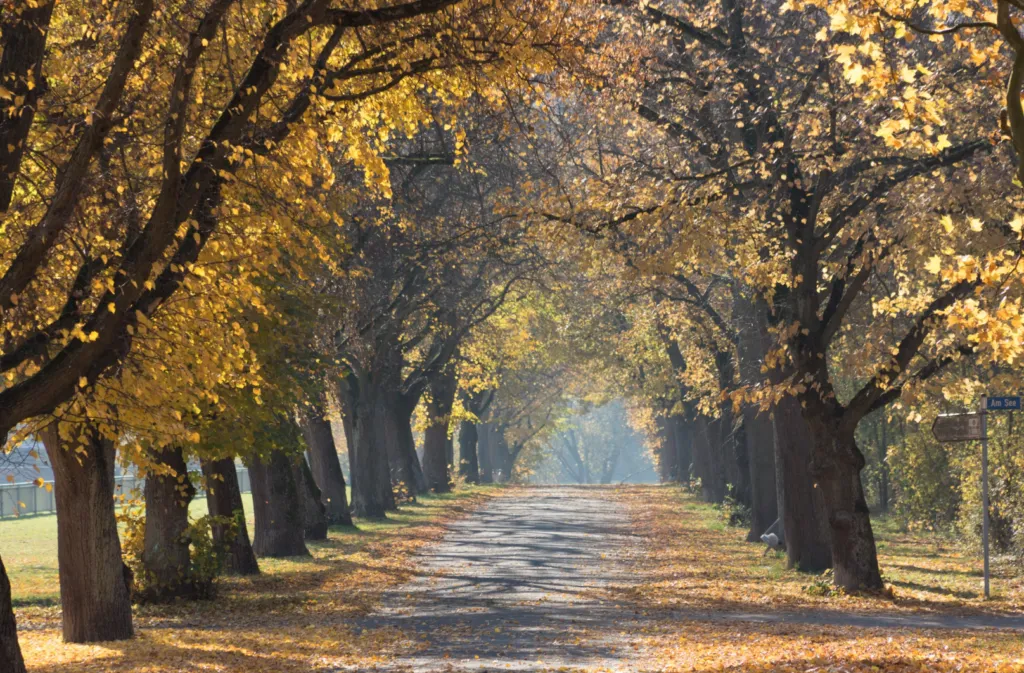 Прогноз погоди в Полтаві 3-4 жовтня