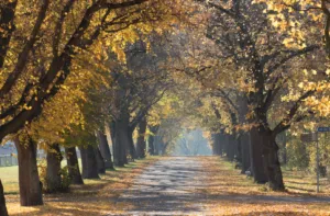 Прогноз погоди в Полтаві 3-4 жовтня