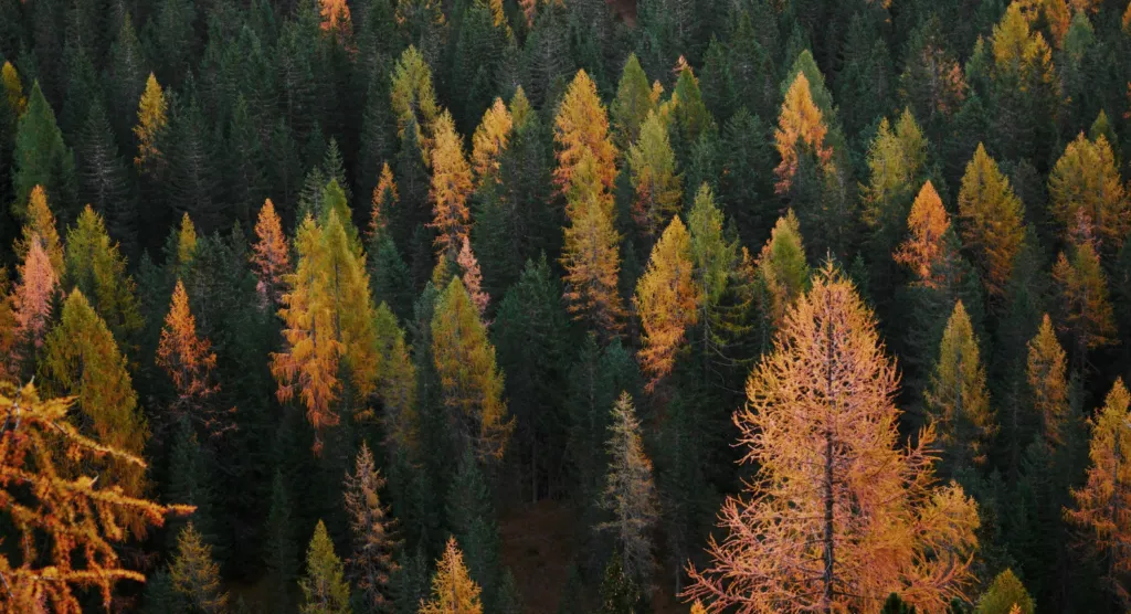 Прогноз погоди в Полтаві 5 та 6 жовтня
