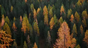 Прогноз погоди в Полтаві 5 та 6 жовтня