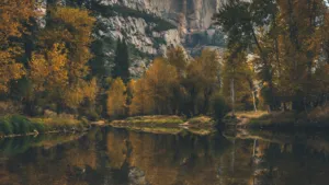 Прогноз погоди в Полтаві 7-9 жовтня