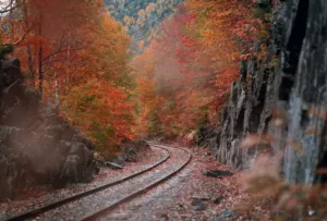 Прогноз погоди в Полтаві 10 та 11 жовтня