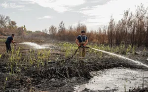 Пожежники понад 10 діб долають пожежі на торфовищах Полтавщини
