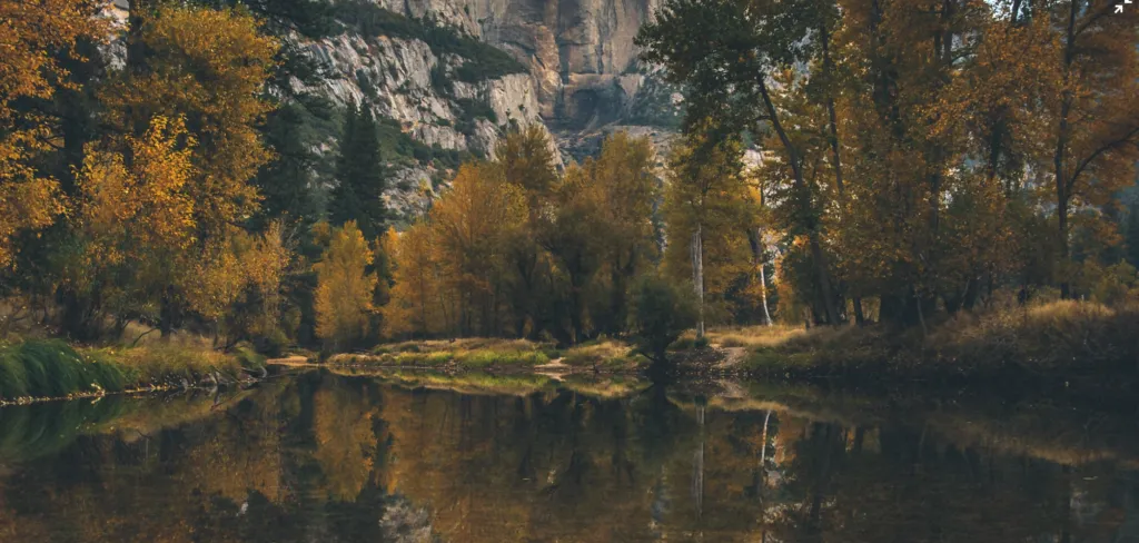 Прогноз погоди в Полтаві 12 та 13 жовтня