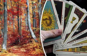 Гороскоп Таро на тиждень з 21 по 27 жовтня для знаків Зодіаку