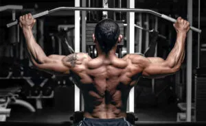 Профессиональные тренажеры для спины: ключ к успешным тренировкам