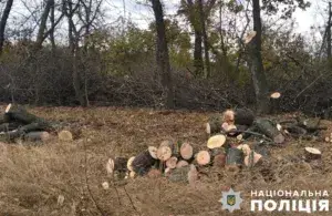 На Полтавщині активізувалися браконьєри: розслідують незаконну порубку дерев та видобуток глини