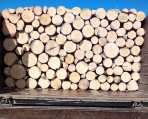 Українці можуть опинитися під арештом за зберігання дров без належних документів