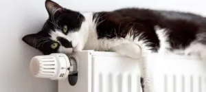 Хто в Полтаві вже з опаленням: ситуація на ранок 4 листопада