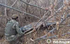 На Полтавщині знешкоджено уламки ворожих дронів