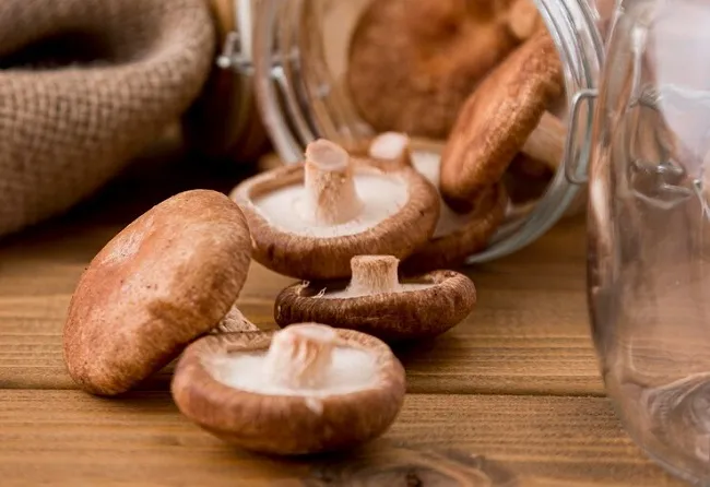 Сушка грибів