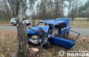 На Полтавщині п'яний водій влетів у дерево