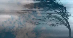 На Полтавщині через шквальний втер 18 грудня оголошено штормове попередження