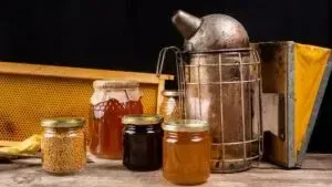 Продукты пчеловодства для здоровья