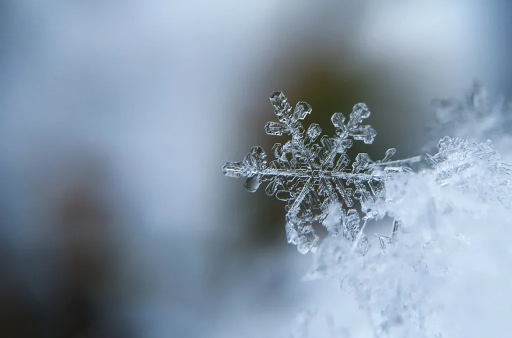 На Україні очікують аномальні морози: синоптики дали прогноз для Полтавщини