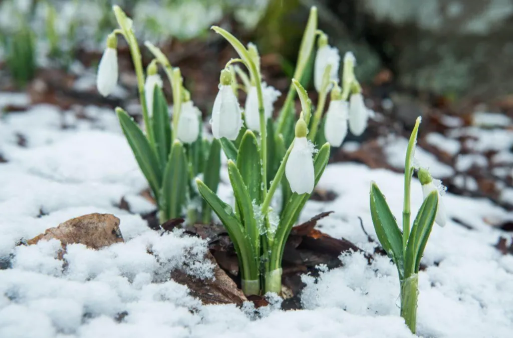 На Полтавщину прийшла весна: коли прогнозують зниження температури