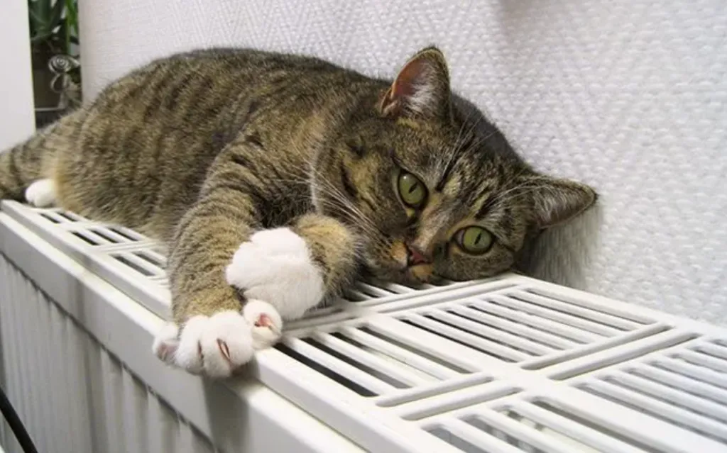 Полтаватеплоенерго не планує вимикати опалення до 1 квітня, якщо не отримає вказівку від міськради про іншу дату завершення опалювального сезону