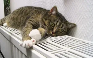 Полтаватеплоенерго не планує вимикати опалення до 1 квітня, якщо не отримає вказівку від міськради про іншу дату завершення опалювального сезону