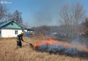 На Полтавщині штрафують за підпали трави: виписано 34 протоколи