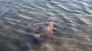 Зниклу жительку Полтави Олену Кучеренко виявили мертвою у річці Ворскла