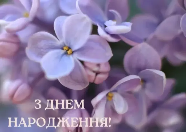 Вітання з Днем народження: оригінальні побажання, вірші та листівки для чоловіків і жінок
