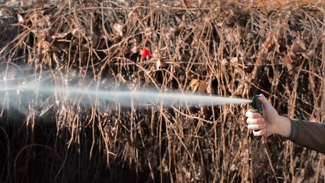 Главное при выборе газового баллончика