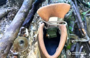 У Полтаві під час суботника виявили гранату в старому взутті поблизу парку «Перемога»