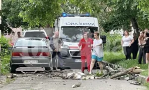 У Полтаві дерево впало на 9-річного хлопчика: дитина у лікарні у тяжкому стані