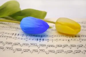 «МІЖНАРОДНИЙ РУХ ЄДНОСТІ»: допомога, що рятує життя та наближає Перемогу