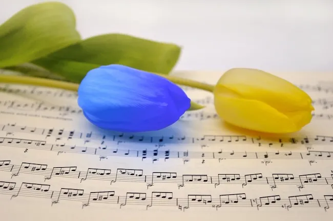 «МІЖНАРОДНИЙ РУХ ЄДНОСТІ»: допомога, що рятує життя та наближає Перемогу