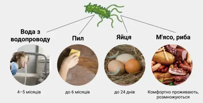 На Полтавщині зафіксовано спалах сальмонельозу