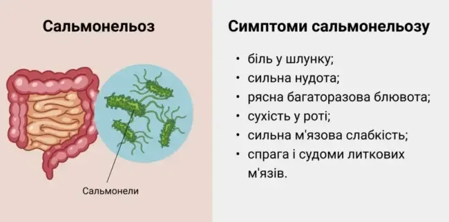 На Полтавщині зафіксовано спалах сальмонельозу