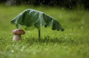 Прогноз погоди на робочий тиждень з 23 по 27 червня в Полтаві