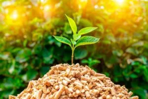 Ціна на деревні пелети: від чого залежить