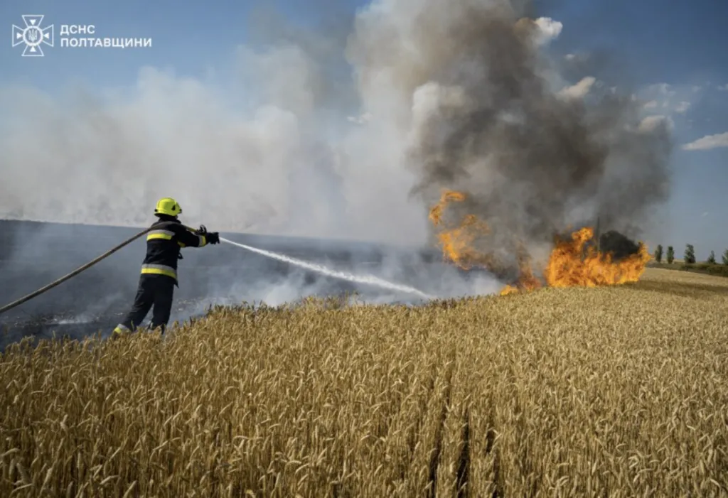 Поблизу Полтави згоріло 130 гектарів пшениці — пожежу гасили понад два десятки рятувальників 