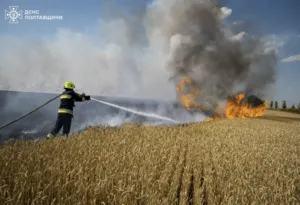 Поблизу Полтави згоріло 130 гектарів пшениці — пожежу гасили понад два десятки рятувальників 