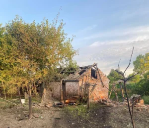 Уламки ворожих дронів пошкодили будинки на Полтавщині