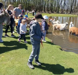 Між Полтавою та Екопарком «Ковалівка» запустили регулярний автобус: відомо розклад