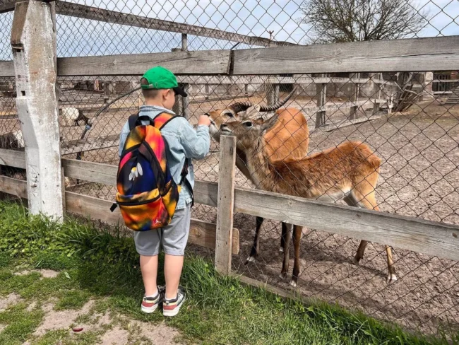 Між Полтавою та Екопарком «Ковалівка» запустили регулярний автобус: відомо розклад
