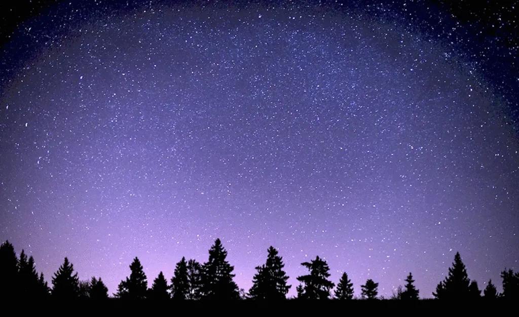 Гороскоп для всіх знаків Зодіаку на завтра 14 серпня