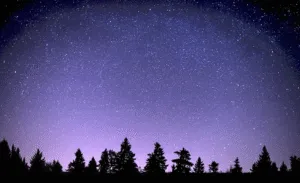 Гороскоп для всіх знаків Зодіаку на завтра 14 серпня