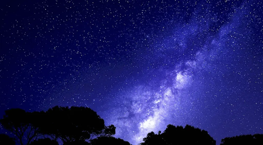 Гороскоп для всіх знаків Зодіаку на сьогодні 17 серпня