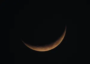 Гороскоп на завтра 23 серпня для всіх знаків Зодіаку