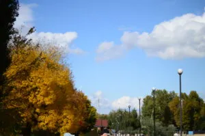 Прогноз погоди в Полтаві на вихідні 13-14 вересня 2025