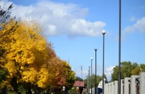 Прогноз погоди в Полтаві у вихідні 6 та 7 вересня 2025