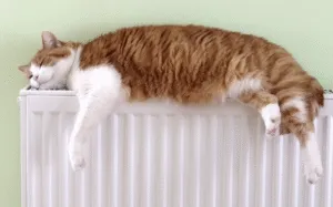 Коли в Полтаві розпочнуть опалювальний сезон 2025/2026 і чи все для цього готово