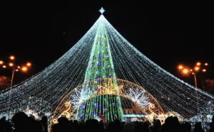 В Полтаві швидко набирає обертів скандал навколо новорічної ялинки: що сталося