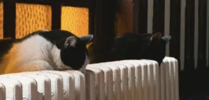 Українцям прогнозують холод в оселях через брак газу